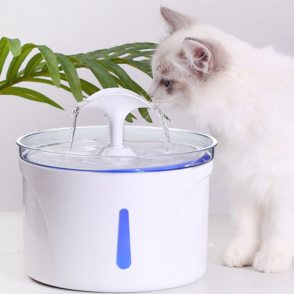 AquaPaws Fountain