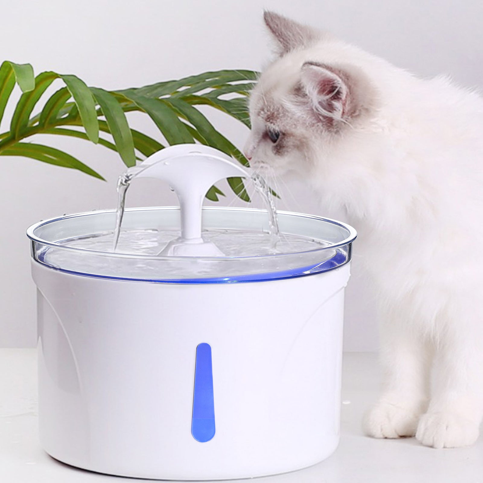 AquaPaws Fountain